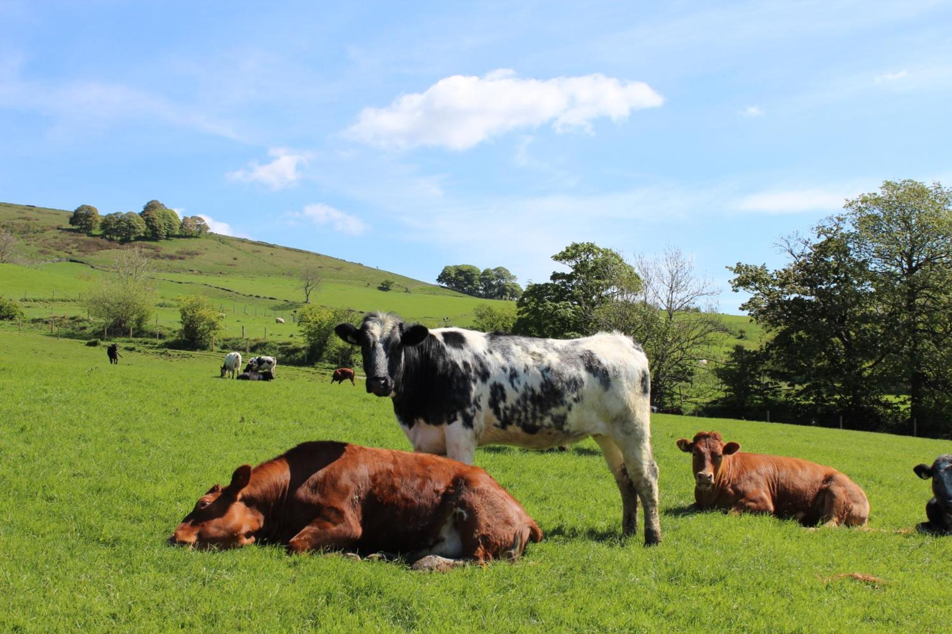 Riding House Farm Cottages Castleton  Exterior photo